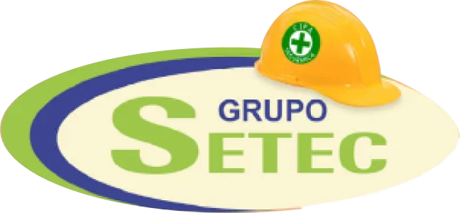 Grupo-Setec-e-Ergomais.png Grupo-Setec-e-Ergomais.png